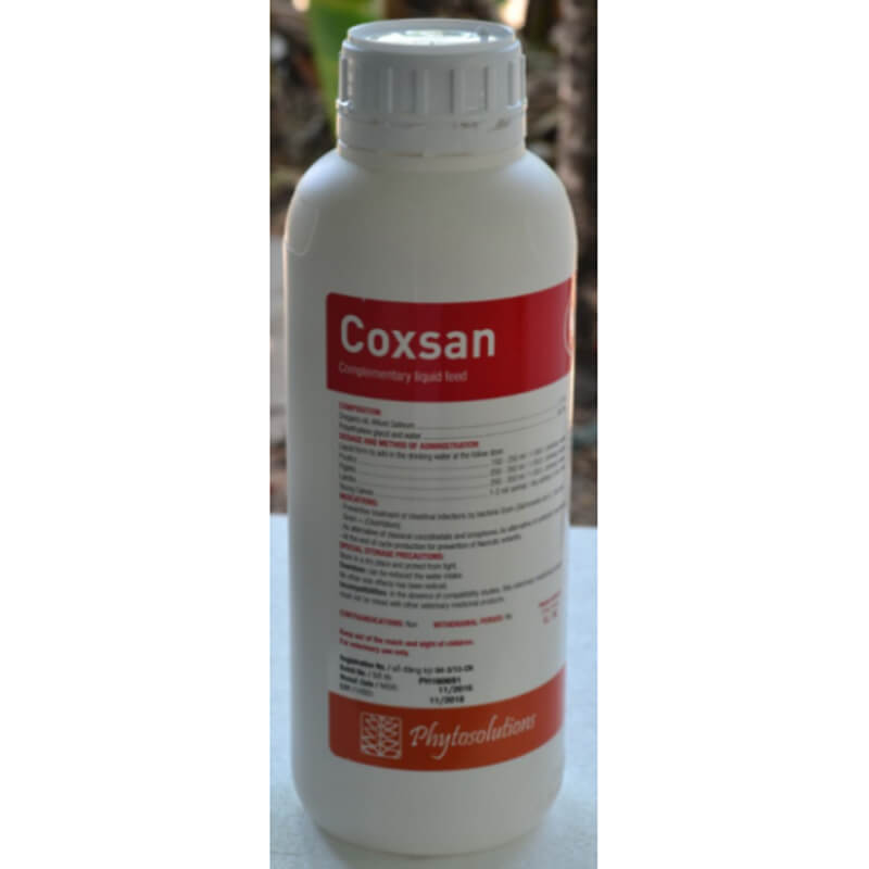 Coxsan