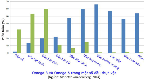 Vai trò của dinh dưỡng trong việc sản xuất Cytokine và chống viêm nhiễm của cơ thể (phần III)