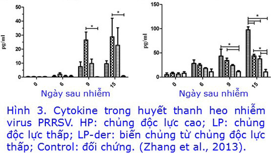 Vai trò của dinh dưỡng trong việc sản xuất Cytokine và chống viêm nhiễm của cơ thể (phần II)